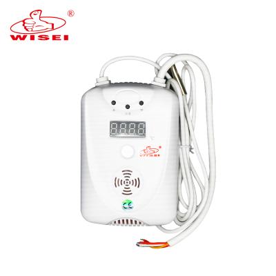 China Cheap Price To Export Display Real Time Temperature High Temperature Detector 100*46mm for sale