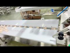 Freeze-dried food pillow packaging machine