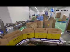 automatic packaging line solution robot palletizing system