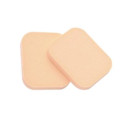 China NR Design SPONGE Design Sponge Puff Sponge Blender Hot Sale Unique Cosmetic Makeup Facial Sponge Cleansing Puff for sale