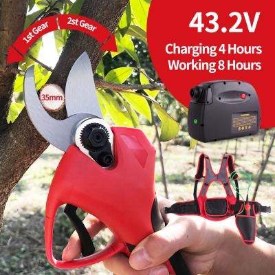 China 43.2V 4.8AH anti-skid handle to Europe and USA 800g 35MM rechargeable branch electric shears supplied from USA warehouse for sale