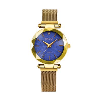 China HALEI China waterproof factory direct sales price gold luxury glass waterproof mesh sapphire belt women quartz steel watch for sale