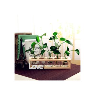 China Contemporary Nordic Cheap Direct Korean Smart Plants Flower Garden Supply Price Plant System Mini Greenhouse Hydroponic Glass Pots for sale