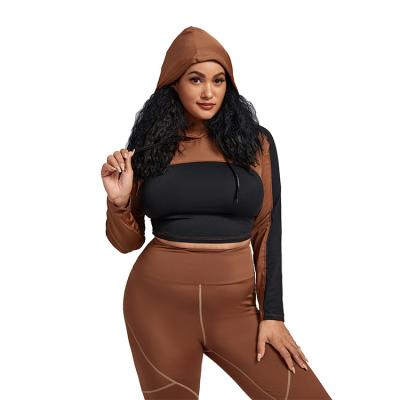 China Long Sleeve Factory Supply Plus Size Women Hoodies Sleeve Long Women's Zipper Hoodie for sale