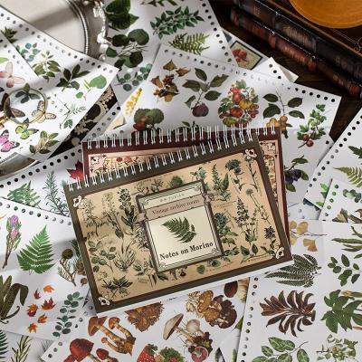 China Vintage Plant and Flower Diy Hand Account Landscape Collage Sticker Paper Material Decorative Sticker Washi Stickers for sale