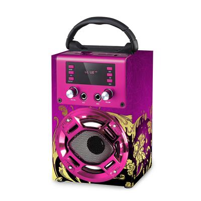 China Ibastek Portable Professional Speaker Karaoke With MIC FM Wireless Radioeaker for sale