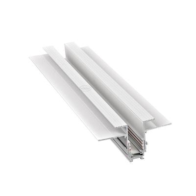 China LEDEAST TSMK Thick Material Aluminum Profile Low Voltage DC48V Trimless Magnetic Track Light Track System for sale