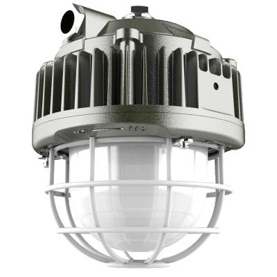 China Die Casting Aluminum ATEX 10w 20w 30w 40w Area 1 Zone2 Hazardous Class 1 2 Explosion Proof Fixture Pendant Lighting IP66 LED Platform Light for sale