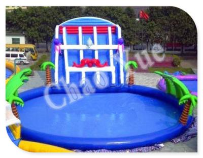 China Giant Inflatable Water Slide, Inflatable Slides with Pool for sale