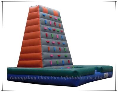 China Great Fun Happy Land Inflatable Climbing for Children (CY-M2011) for sale