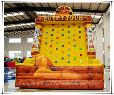 China Funny Inflatable Sport Climbing for Adults or Kids (CY-M2106) for sale