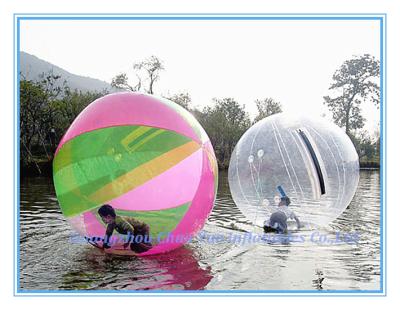 China Excellent Inflatable Water Ball Unique Commercial Water Walking Bumper Ball(CY-M2716) for sale