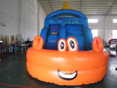 China Commercial Grade Inflatable Slide for Sale for sale