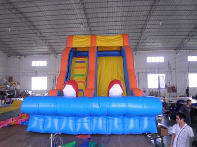 China Inflatable Water Slides, Giant Beach Slide with Wooden Stairs, Hippo Slide for sale