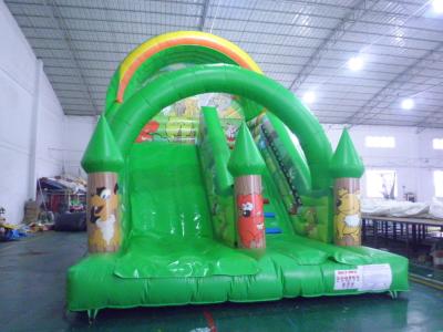 China Factory Price Giant Inflatable Water Slide for Fun for sale