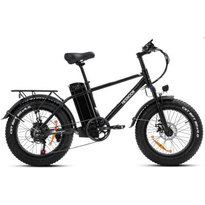 China Aluminum Alloy hot sell EU Warehouse  20inch 4.0fat tires  electric mountain bike 750W high speed high power motor gears for sale