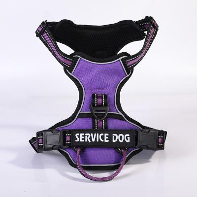 China Sustainable Dog Harness and Lead Thoughtful Best Puppy Harness with Handle and Buckle Design Portable Dog Training Harness for sale