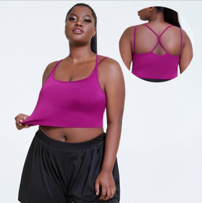 China Breathable Impact Sports Gym Yoga Bra For Women Plus Size Bra Women Fitness Sports Wear Padded Gym Bra for sale