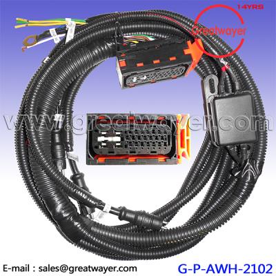 China Truck 25 Pin Connector ECU 30A Fuse Truck ABS Wiring Sensor for sale