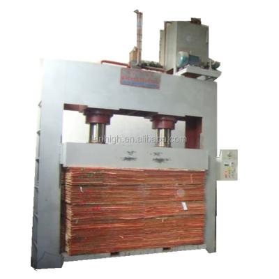 China Plywood production whole line of plywood making with veneer peeling line for sale