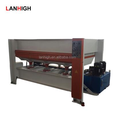 China Woody Door Skin Cheap Price And Good Quality 100T Door Hot Press Machine for sale