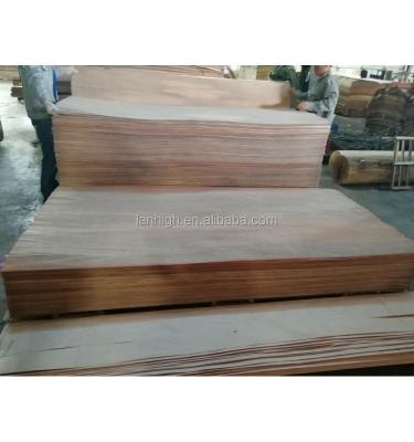 China Natural Wood Type Plywood Veneer Veneer and Mixed Species Light Hardwood Veneer for sale