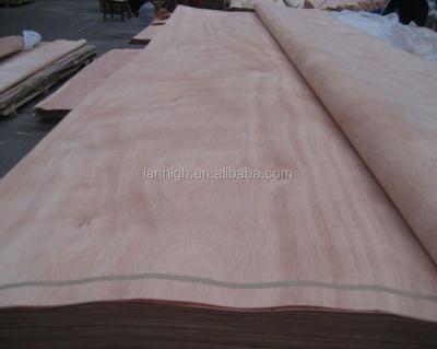 China Traditional 0.25-0.3mm okoume veneer for commercial plywood for sale