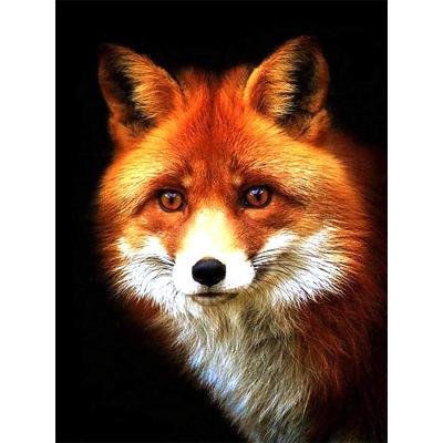 China Hot Selling One Diamond Art Prints Abstract Meian Fox Needlework DIY Diamond Painting Handmade Painting for sale