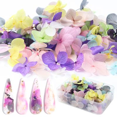 China Low Price Natural Nail Touch Dry Flower Dried Flowers 3D Resin Dried Real Pressed Flower Resin Craft DIY for sale