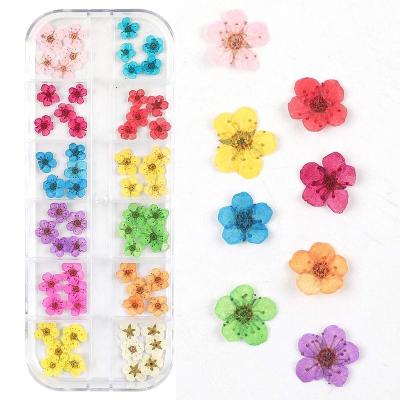 China High Quality Natural Touch Dry Flowers For Nail Art Small Dry Flower Resin Nail Dried Flower Decoration for sale