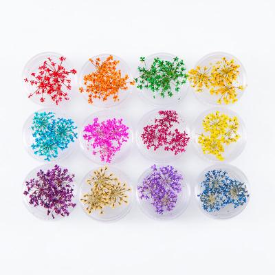 China High Quality Natural Touch Dry Flowers For Nail Art Dried Pressed Dried Flowers Pressed Art Resin Flower Decoration for sale