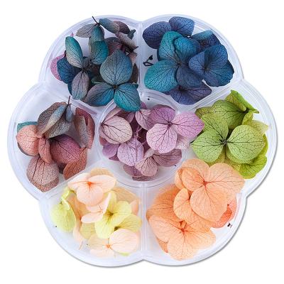 China Popular Natural Touch Flower 3D Nail Applique Art Resin Dried Flowers Natural Dry Pressed Flower for sale