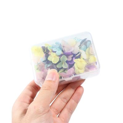 China Hot Selling Natural Touch Amazon Nail Flowers Dry Pressed Dried Flowers Pack Dry Flower For Nails for sale