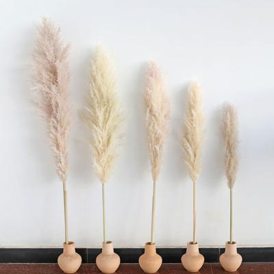 China Kind Real Touch Price Pampas Bouquet Arragement Pampas Grass Wedding Bouquet Pampas Grass Welcome Sign For Home Decor for sale