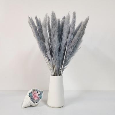 China Hot Sale Natural Dry Floral Pampas Grass Pampas Grass 15pcs Amazon Boho Touch Real Nature Small Pampas Grass For Party Home Decor for sale