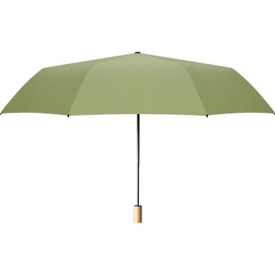 China Folding Umbrellla Custom 21 Inch Rainy Times 3 Fashion Umbrella Fully Cute Waterproof for sale