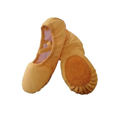 China Professional Canvas Kids Cat Claw Dance Shoes Teacher Ballet Dance Shoes for sale