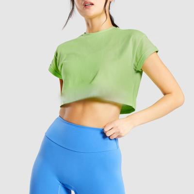 China Anti-Wrinkle 100% Short Sleeve Cotton Custom Colors Gym Wear Sport Crop T-Shirt For Women for sale