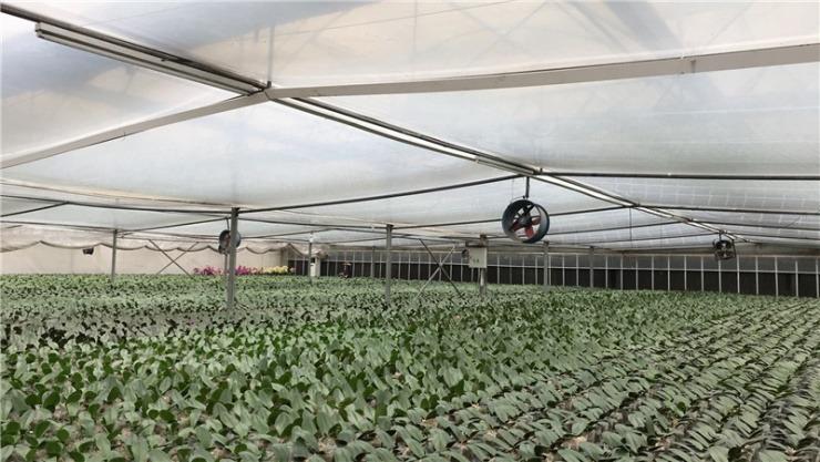 Verified China supplier - Foshan Shunde Kunyu Greenhouse Engineering Co., Ltd.