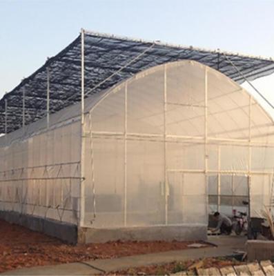 China Commercial PE Arch Plastic Sheet CO2 Controller 10x20 Solar Power Greenhouse For Sale for sale