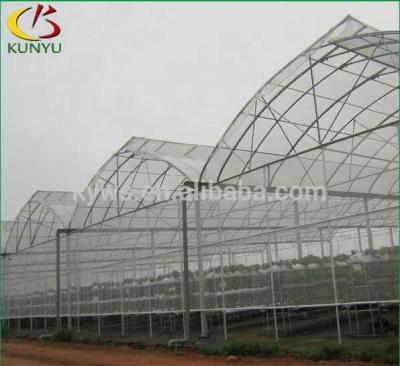 China Hot Dipped Galvanized PE Agriculture Sawtooth Greenhouse Steel Frame Greenhouse With Roof Ventilation for sale