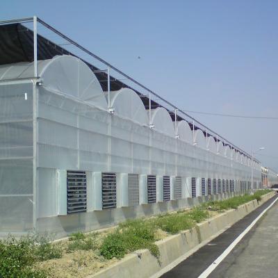 China Big Industrial Sawtooth Type Plastic Film Greenhouse PE Greenhouse for sale