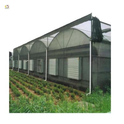 China Indoor Vegetable Garden Orchid Greenhouse PVC Pipe PE Arch Roof Type Greenhouse for sale