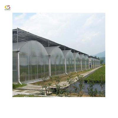 China Polytunnel PE Arch Roof Type Greenhouse Kits Commercial Greenhouse for sale