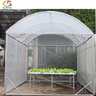 China 6m X 6m Easily Assembled Venlo Type Garden Tunnel Greenhouse For Commercial for sale