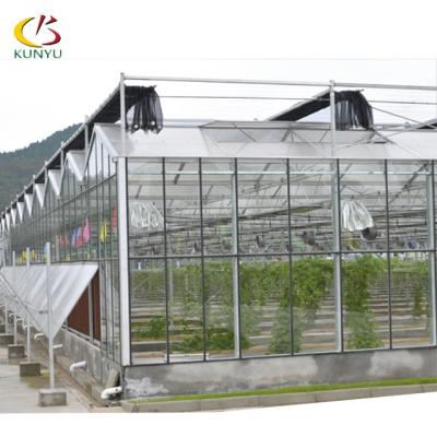 China Green And Economical Glass Multi-span Galvanized Steel Frame Agricultural Glass Tunnel Greenhouse for sale