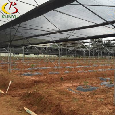 China Agricultural Agricultural Greenhouses Black Curtain Greenhouse Automobile Light Deprivation Blackout Greenhouse for sale