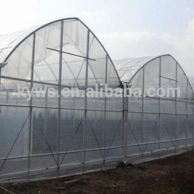 China PC Sheet 2021 Reasonable Price Hoops Tunnel Good Poly Greenhouse for sale