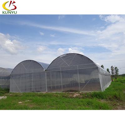 China PC Sheet Product High Quality Material Large Passive Greenhouse For Fruits And Vegetables Often Used In Agriculture for sale