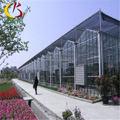 China Glass Roof Plastic Greenhouse Venlo Sheets Plastic Greenhouses For Sale for sale